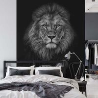 Fotobehang - thumbnail