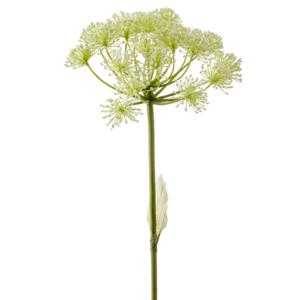 Kunstbloem Berenklauw - 78 cm - wit - losse tak - kunst zijdebloem - Heracleum