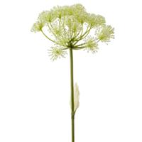 Kunstbloem Berenklauw - 78 cm - wit - losse tak - kunst zijdebloem - Heracleum   -