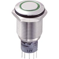 TRU COMPONENTS 701833 LAS2GQF-22E/G/12V/S/P Vandalismebestendige druktoets 250 V/AC 3 A 2x aan/(aan) Moment Groen 1 stuk(s)