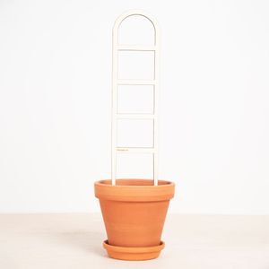 Plantensteun Ladder