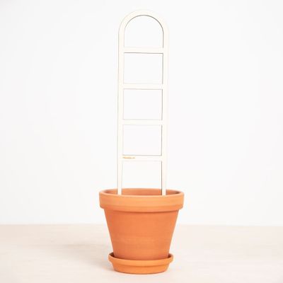 Plantensteun Ladder