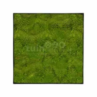 Mosschilderij Platmos 50x50cm