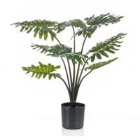 Kunstplant Philodendron - 60 cm - Zwarte Pot - Onderhoudsvrije Kamerplant - Kunstplanten/nepplanten - thumbnail