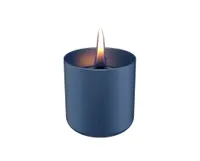 Tenderflame Lilly Glass 8 cm - zwart