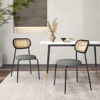 Set van 2 Rotan Eetkamerstoelen Gestoffeerd Metalen Poten Rugleuning van Netstof Linnen Stof Moderne Ronde Stoel Zonder Armleuningen - thumbnail