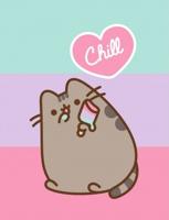 Pusheen Chill fleece deken 130 x 170cm