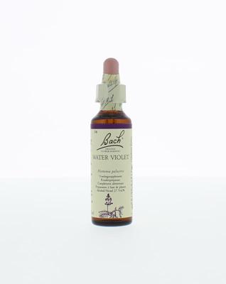 Bach Water violet/waterviolier