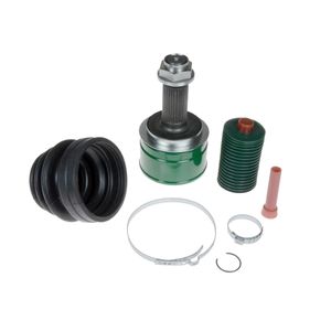 Homokineetset ADH28977