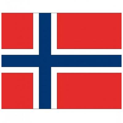 10x stuks Vlag van Noorwegen plakstickers