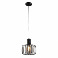 Design hanglamp H3625Z Costola