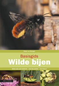 Basisgids wilde bijen (Paperback)