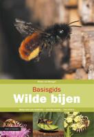 Basisgids wilde bijen (Paperback)