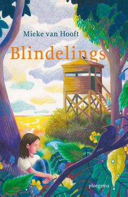 Blindelings (Hardback)