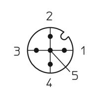 Lutronic 1238 Sensor/actuator steekconnector M12 Aantal polen: 5 Stekker, inbouw 0.50 m 1 stuk(s) - thumbnail