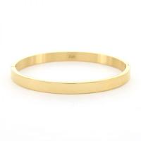 Kalli Bangle Armband Glans 6 mm Goud