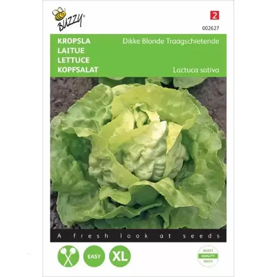Kropsla Dikke Blonde Traagschietende