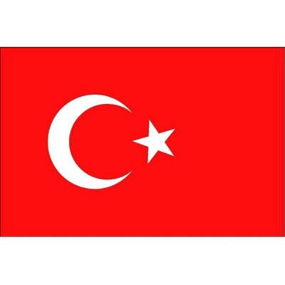 20x Vlag Turkije stickers 10 cm