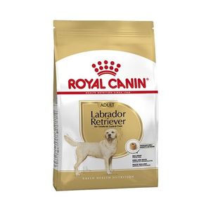 Royal canin Canin Canin labrador retriever adult