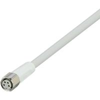 ifm Electronic EVF134 Aansluitkabel Aantal polen (sensoren): 4 Bus, recht 2 m 1 stuk(s)
