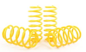 ST Suspensions verlagingsveren 28260071