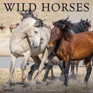 Wilde Paarden Kalender 2026
