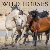 Wilde Paarden Kalender 2026