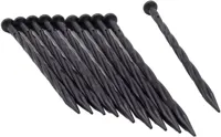 Nature Borderrandpennen h20 cm Zwart 10 stuks