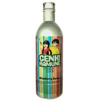 Genki Ramune - Bosbessen Frisdrank - 24x 500ml