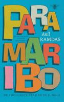 Paramaribo, de vrolijkste stad in de jungle (Paperback)