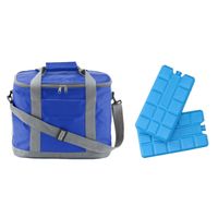 Koeltas van 25 x 20 x 35 cm blauw/grijs met 6x stuks koelelementen - Koeltas