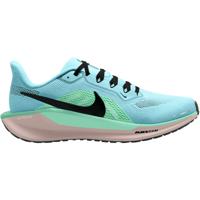 Nike Pegasus 41 Heren Nike Pegasus 41 Heren