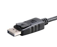 Akasa AK-CBDP05-20BK video kabel adapter Zwart - thumbnail