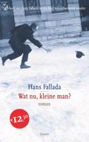 Wat nu, kleine man? (Paperback)