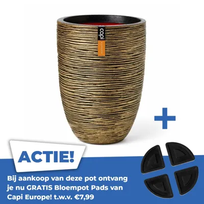 Vaas eleg laag rib d46xh58 zwart gd