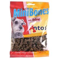ANTOS MINI BONES PENS