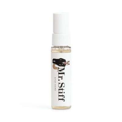 Mr Stiff Stay Hard - Delay Spray