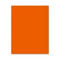 Fiches Iris Mandarijn 50 x 65 cm