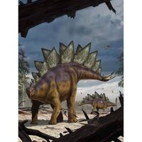 Fotobehang - Stegosaurus 184x248cm - Vliesbehang