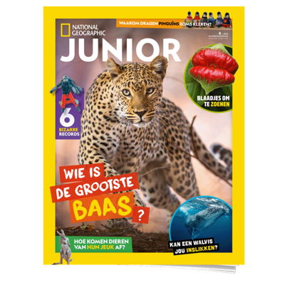 National Geographic Junior | Basis abonnement