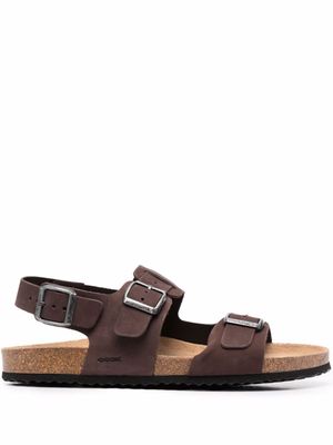 Geox sandales Ghita en cuir - Marron