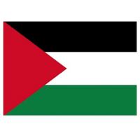Vlag van Palestina stickers - 100x - 7.5 x 10 cm - Binnen/buiten
