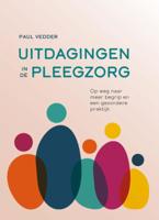 Uitdagingen in de pleegzorg (Paperback)