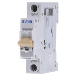 PXL-B13/1  - Miniature circuit breaker 1-p B13A PXL-B13/1