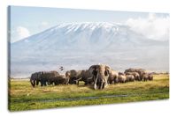 Karo-art Schilderij -Kudde Olifanten bij de Kilimanjaro 100x70cm, wanddecoratie - thumbnail