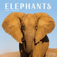 Olifanten Kalender 2026