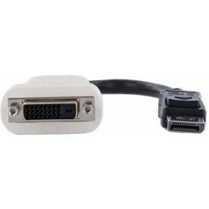 StarTech.com DisplayPort naar DVI Video Adapter Converter - [DP2DVI]