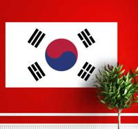 Muursticker vlag Zuid-Korea