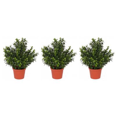 Set van 4x stuks kunstplanten buxus plant in pot 31 cm