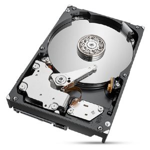 Seagate IronWolf Pro ST2000NT001 interne harde schijf 2 TB 7200 RPM 256 MB 3.5"